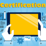 Who should attend PMP certification online?